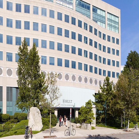 Amerika-Hult-İşletme-Üniversitesi-1