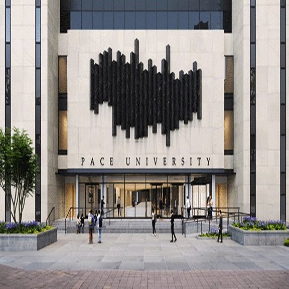 Amerika-Pace-Üniversitesi-1