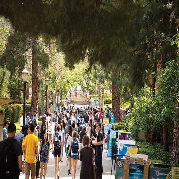 UCLA-Amerika-Sertifika-Diploma-1